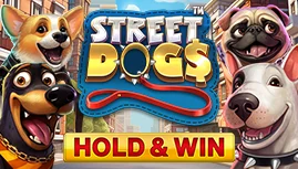 Street Dogs